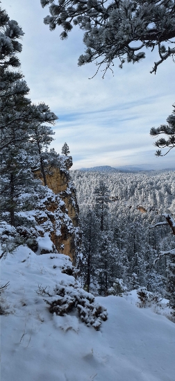 The Bluff of Boxelder Bluff